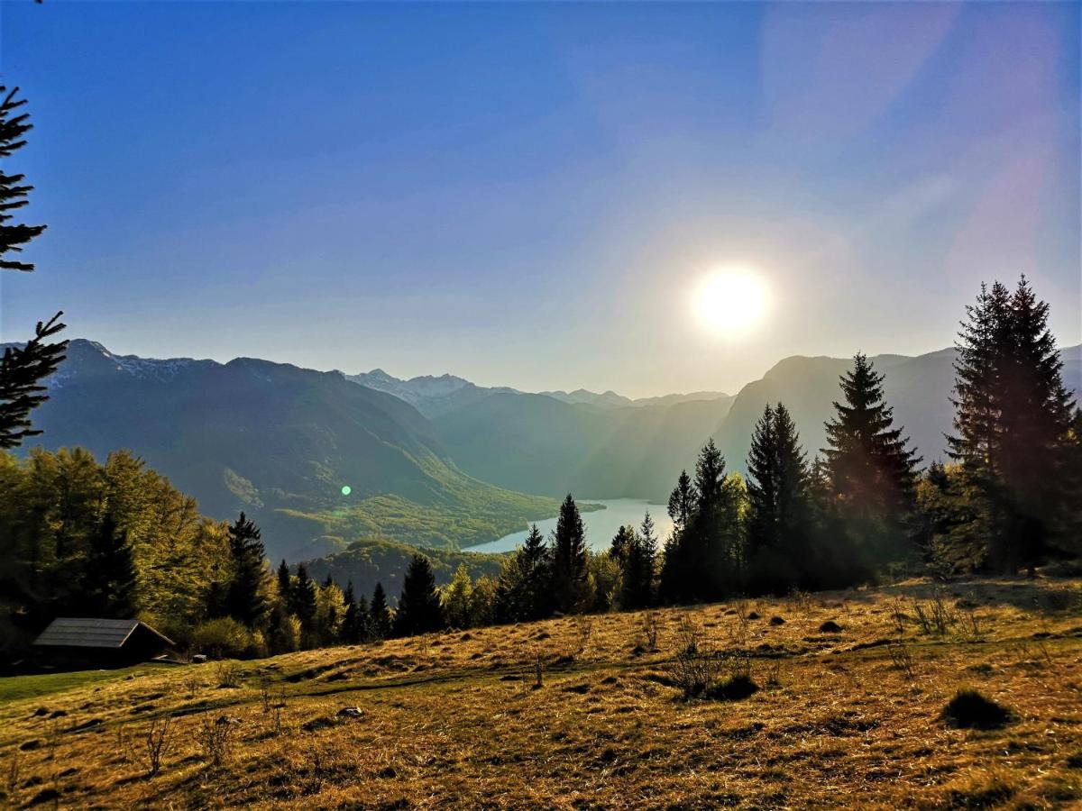Chalet Ajda Bohinj Esterno foto